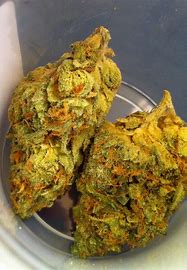 Where to Buy Weed Online Wollongong Buy Weed In Wollongong. Its known for producing euphoric effects, followed up by waves of full-body relaxation.