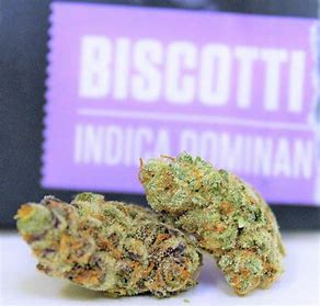 Buy Biscotti Strain Online In Australia